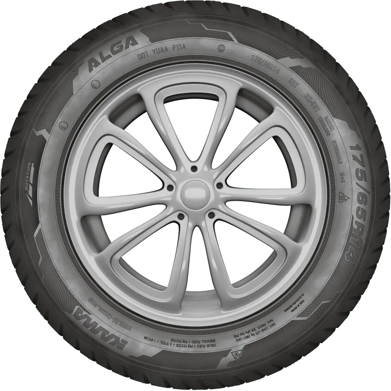 KAMA ALGA (НК-531) нешип в Пущине — KAMA TYRES KAMA ALGA (НК-531) нешип в Пущине